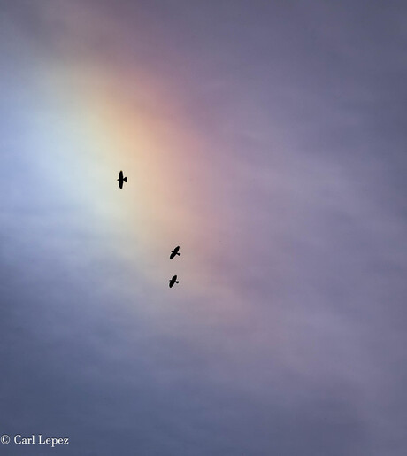 Circumzenitale boog in Opont