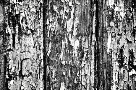 Artistic decay 04