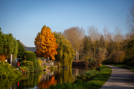 Fietsen door en langs de bossen in de herfst 