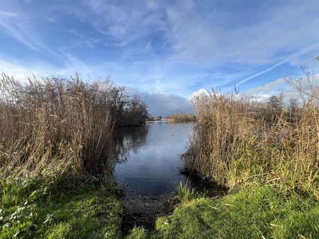 Een stukje natuur