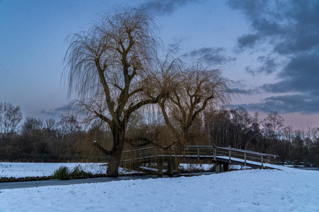 Winterlandschap in de late middag