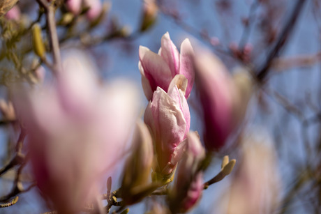 Mooi weer... Weer mooi....