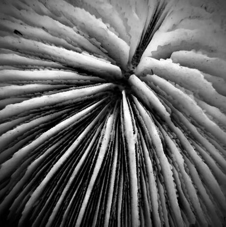 Alle wegen leiden naar dezelfde weg