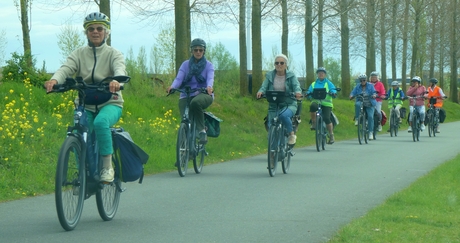 een vreemde eend in de bijt