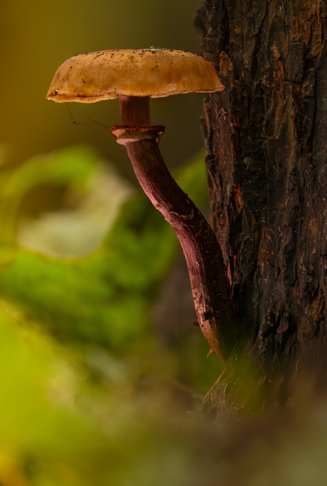 Shine a light on me.