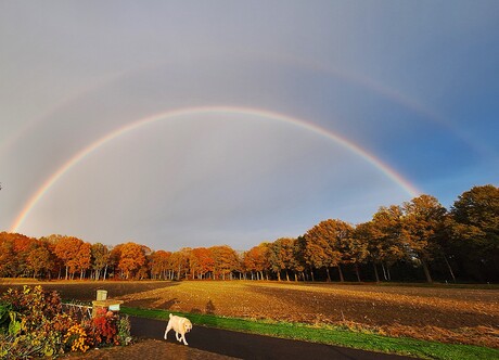 regenbogen in de herfst