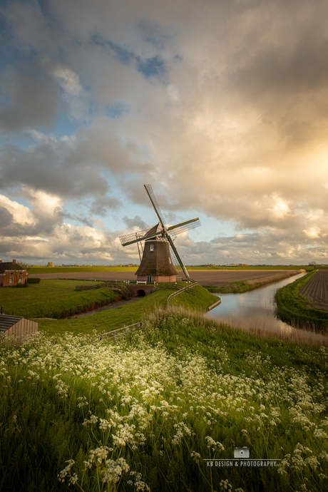 Molen de Goliath in het Groninger landschap bij avondlicht met een mooie Hollandse wolkenlicht