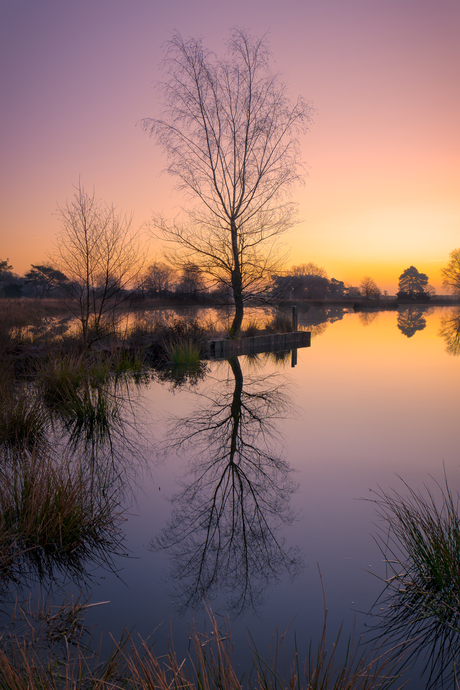 Reflection.