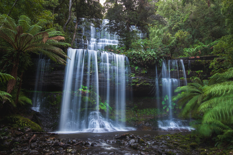 Russell Falls Tasmanië