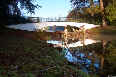 Leeuwen bij de brug