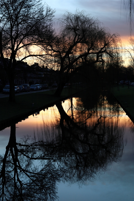 Winnende foto Natuurmonumenten fotowedstrijd,  januari 2023