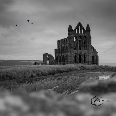 Whitby Abbey