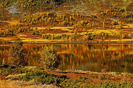 Herfst in Noorwegen