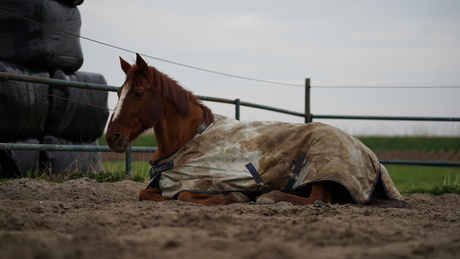 lenstest |Sigma 70-200 | F2.8