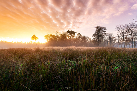 Magical Sunrise