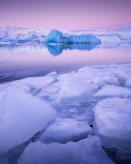 Artic pink