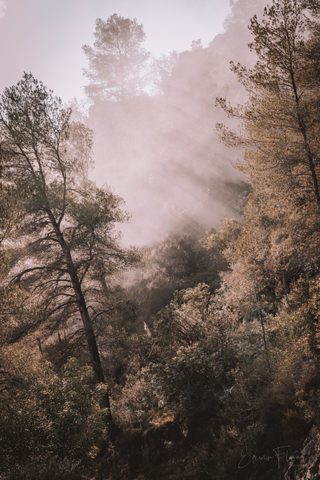 Herfst landschap