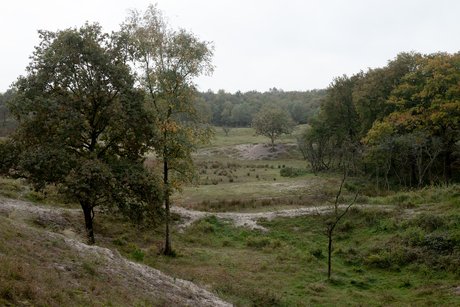 Natuurgebied Oranjezon 