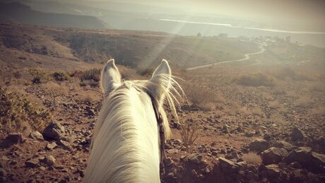 Wegdromen in Gran Canaria 