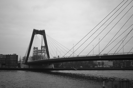 Zwart/witte Willemsbrug Rotterdam