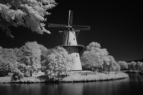 Infrarood / Molen