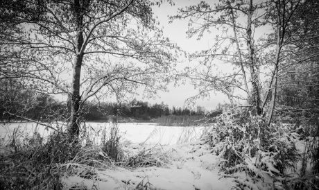 Witte sneeuw mar dan zwart-wit.