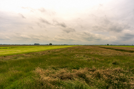Landschap Oudeland
