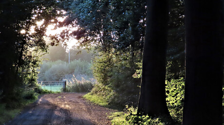 De weg naar het licht.