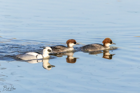 Nonnetje (m) met twee dames…