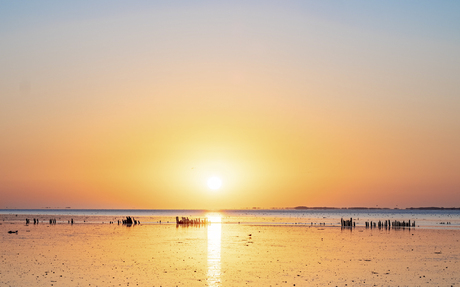 Palen op het wad