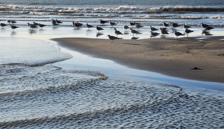 Waar wachten wij op?