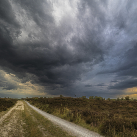 Balloërveld