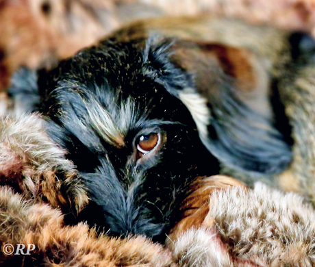 I'm watching you.. .