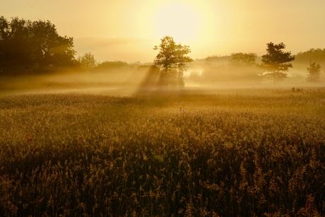 Zonsopgang in De Bruuk