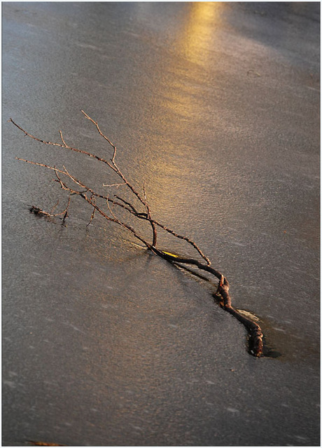 door het bevroren water..........................