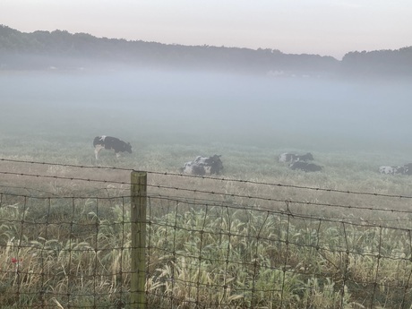 Ochtend mist om 5.25 uur