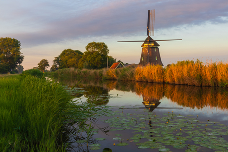 Daar bij die molen