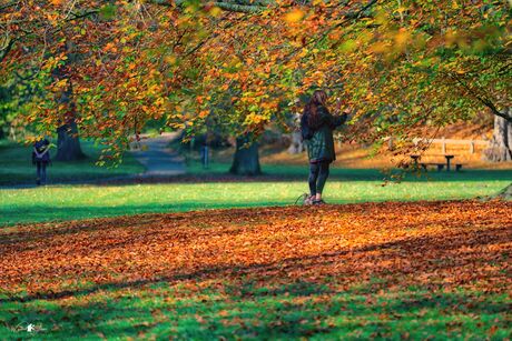 Enjoying the autumn