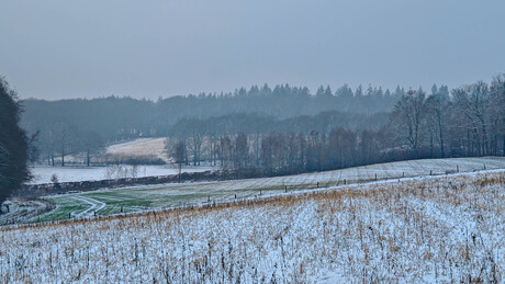 Maart roert zijn staart