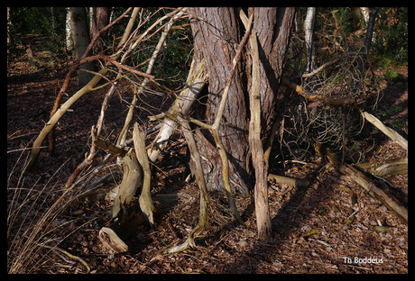 3411300833smw  CHAOS 