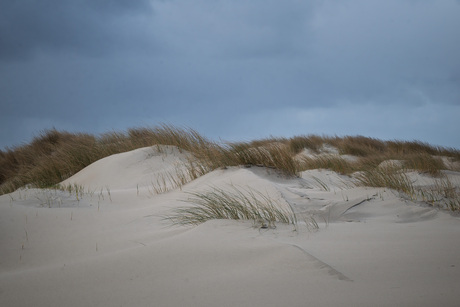 Duinen