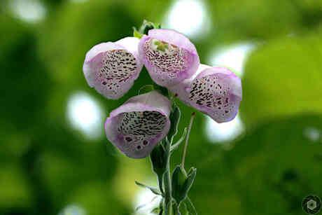 Summerschool_Macro
