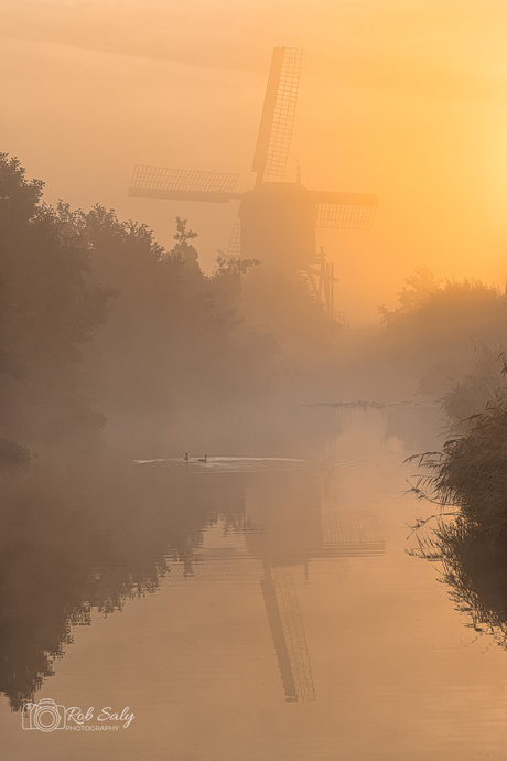 molen in de mist