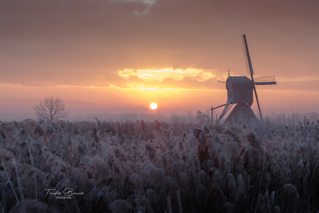 Kinderdijk 