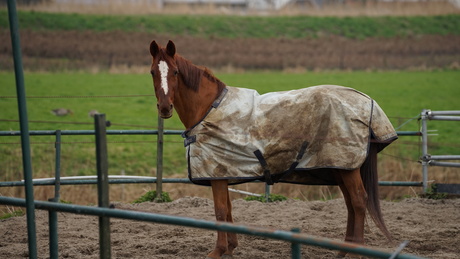 lenstest |Sigma 70-200 | F2.8