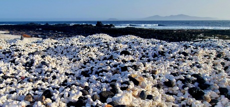 Popcorn Beach 