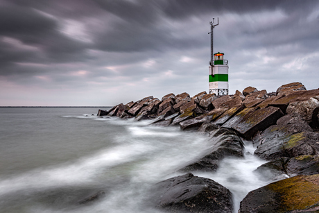 Wild Holland