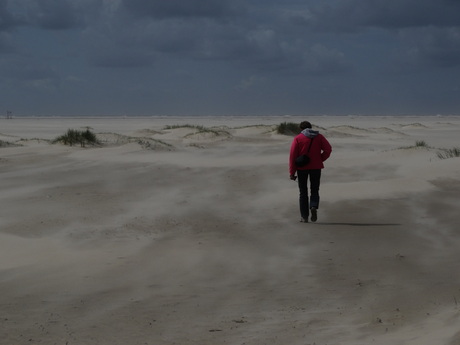 Eindeloos Texel (de Hors)