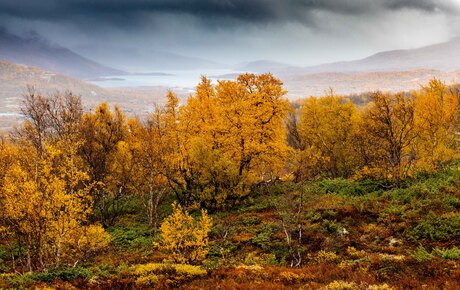 Herfst in Noorwegen