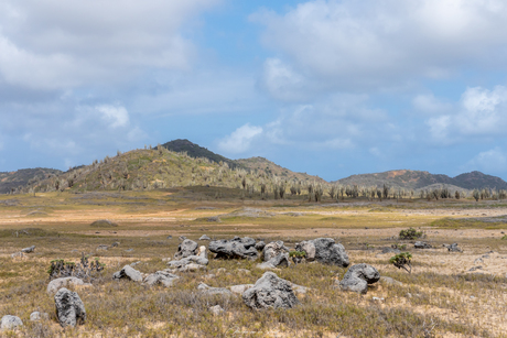  Washington Slagbaai Nationaal Park op Bonaire